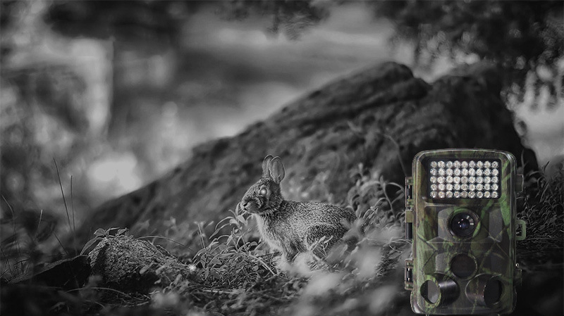 Wild hunting camera - Electronic Supreme